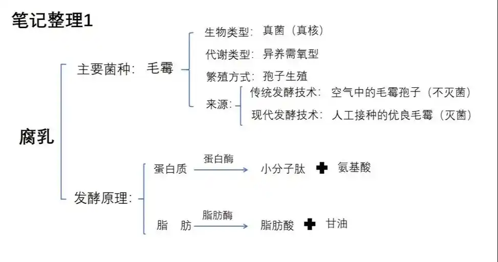 新高考最全生物笔记(选择性必修三第一章第一节传统发酵技术), - 抖音