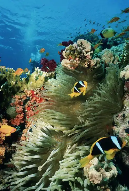 风景,人文,休闲