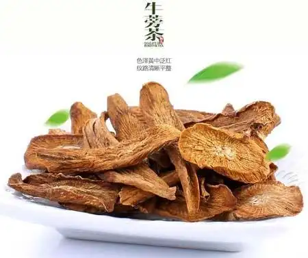 牛蒡根的功效与作用