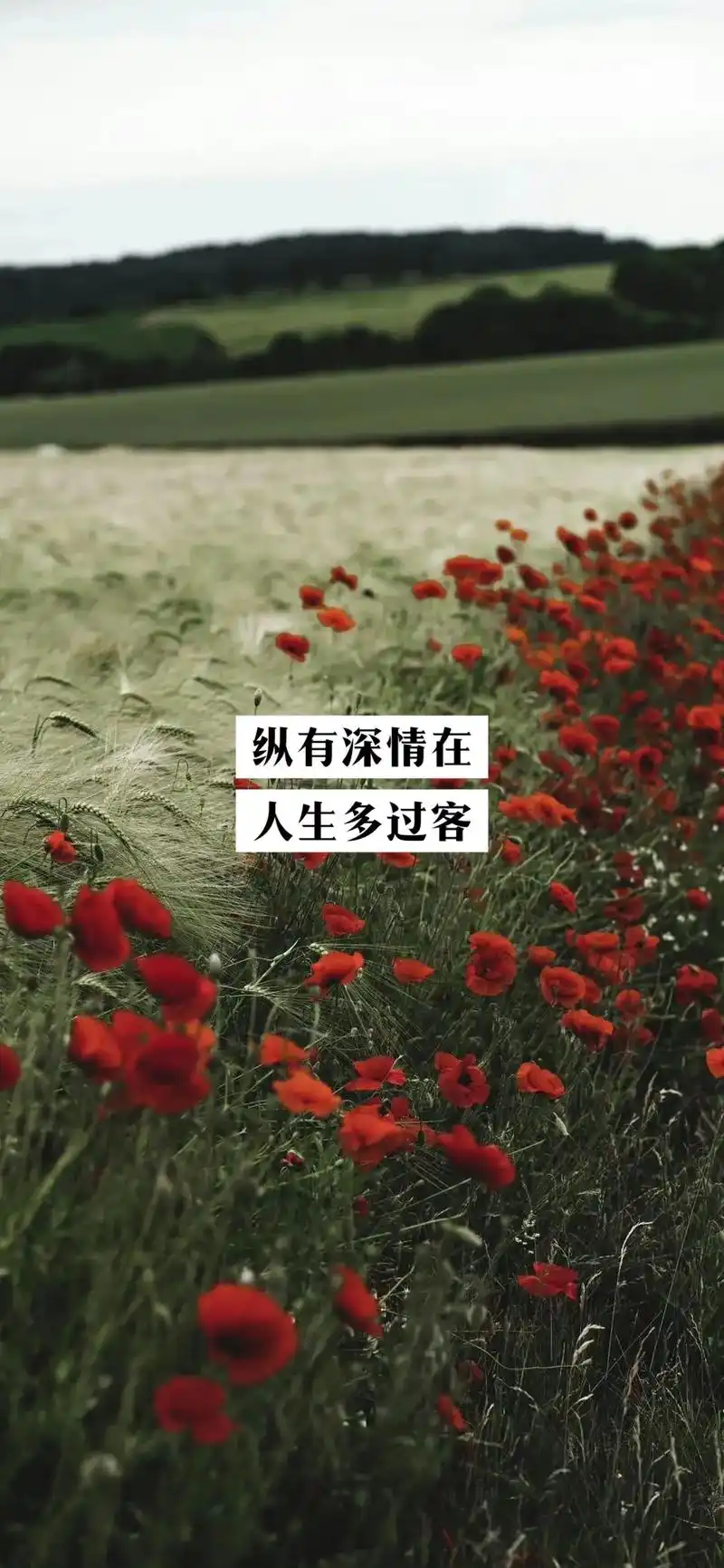 治愈系风景人物壁纸图集——#背景图 #治愈系风景 #唯美意境 - 抖音