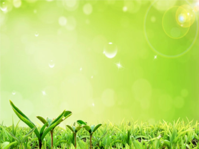 2014届广州一模讲评.ppt