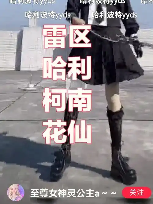 正道的光哈迷快进