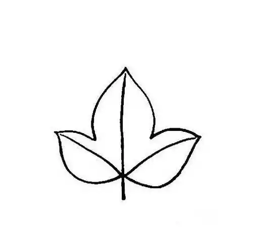 枫叶简笔画 枫叶简笔画简单又好看
