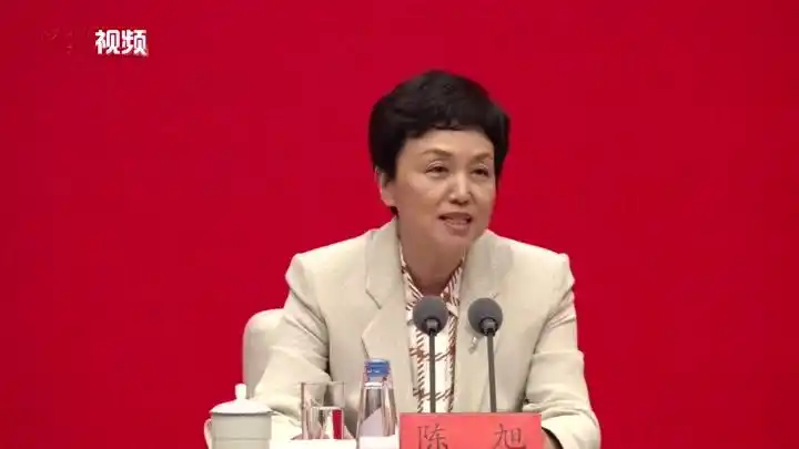 中央统战部副部长陈旭:党外干部真正做到了有职有责有权