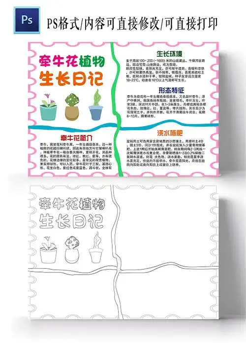 粉色卡通牵牛花植物生长日记卡通小报手抄报