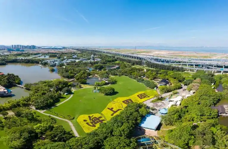 最新!深圳各区安排公布!事关春节_深圳新闻网