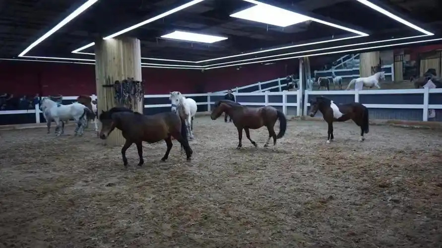 郑州快乐小马马术俱乐部的室内马场(图/戚梦颖)