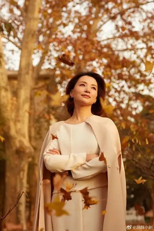 董卿朗读者回归##董卿回归状态