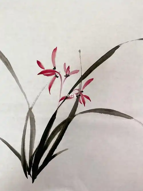 国画写意兰花小品