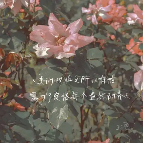 想发朋友圈能把你们收藏的句子借我吗