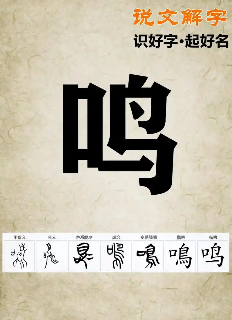鸣,拼音:ming,繁体字:鳴,起名笔画数:1 - 抖音