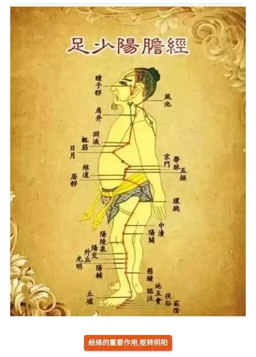 《黄帝内经》敲胆经:生阳气,补气血,扶正气!