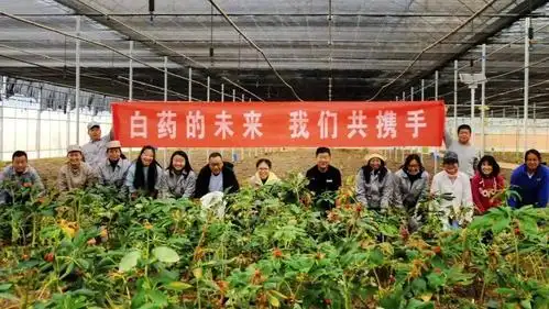 玉龙关注去年实现销售收入64亿元太安乡云南白药生态科技产业园成效初