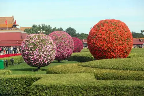 迎国庆 各色花卉绿植扮靓天安门广场