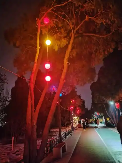 阳泉南山公园夜景! - 抖音