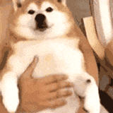 为什么姨妈期有的女生痛得要死有些却没有感觉