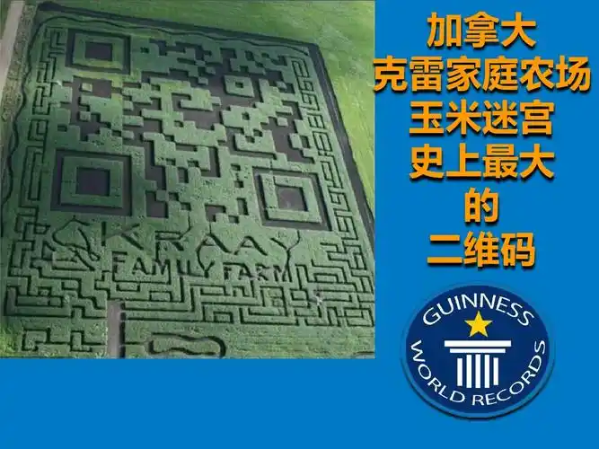 盘点那些奇奇怪怪的二维码