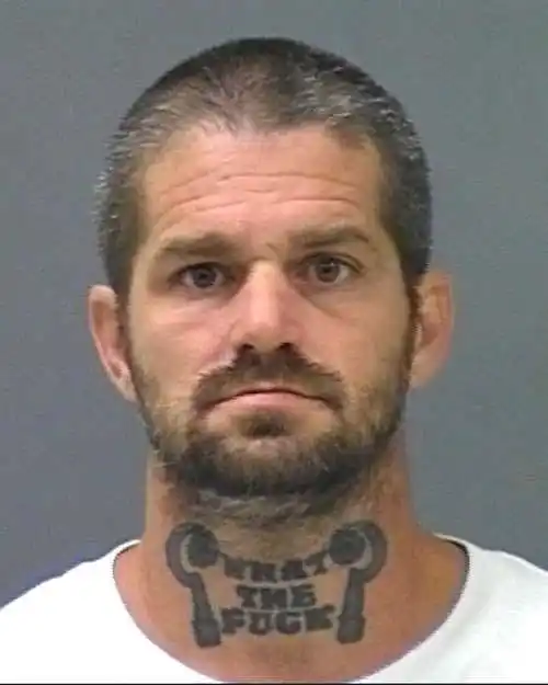 2012年度最佳犯罪分子肖像照[组图]