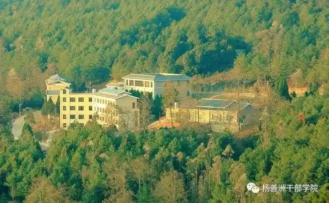 大亮山这里就是国家生态文明教育基地——善洲林场.