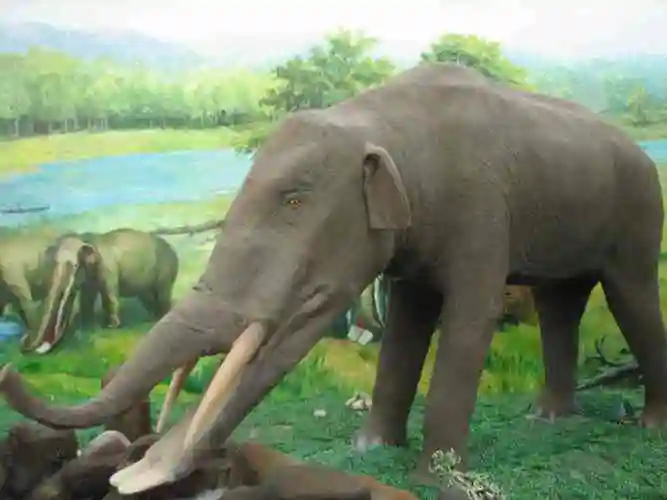 p>铲齿象是属于嵌齿象科的一种象类.