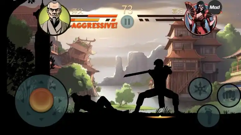 暗影格斗2特别版(师傅的故事)