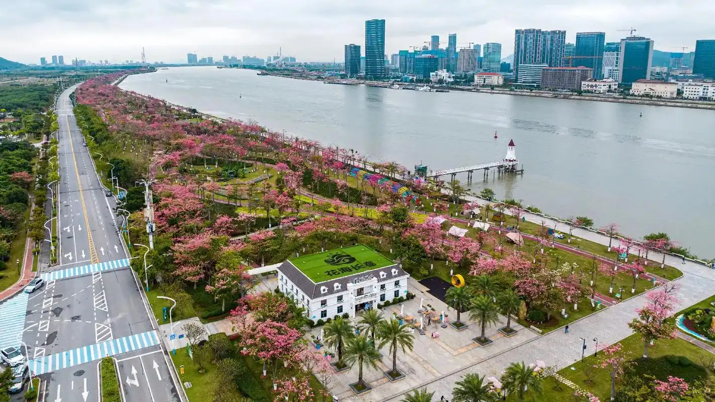 珠海横琴花海长廊61十里花廊.#创作灵感 #航拍 #旅行大玩家 - 抖音