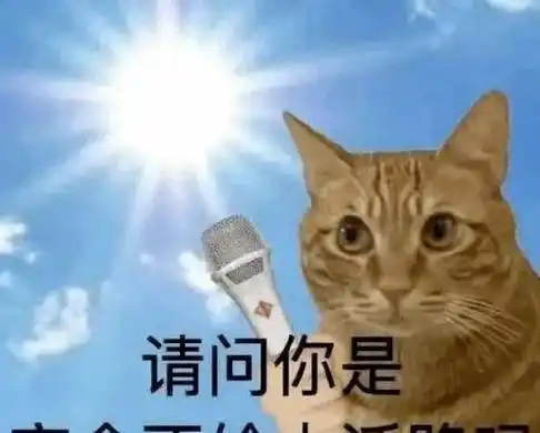 观众的命也是命,能不能拍点正常东西啊……_王鹤_镜头_场景