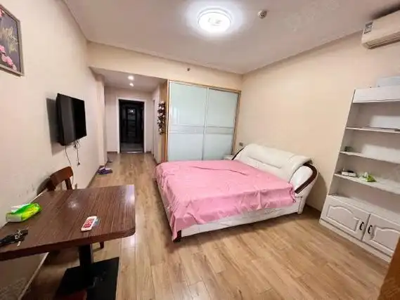 盐城亭湖宝龙宝龙城市广场(商住楼)可短租月付 清爽装修 宝龙公寓有