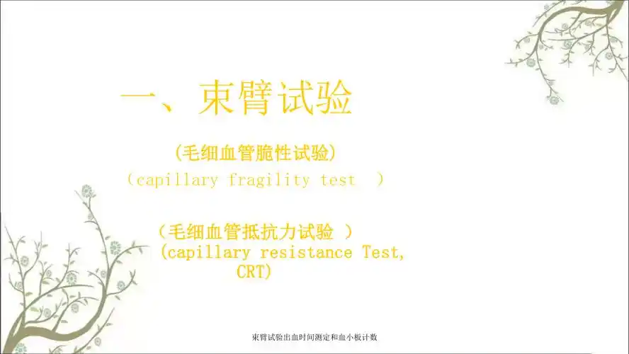 束臂试验出血时间测定和血小板计数课件