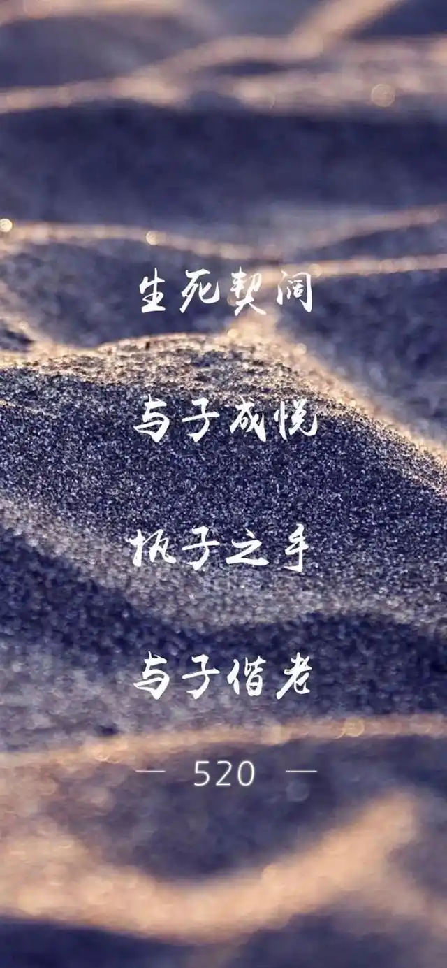 壁纸:世间所有的相遇 都是久别重逢!