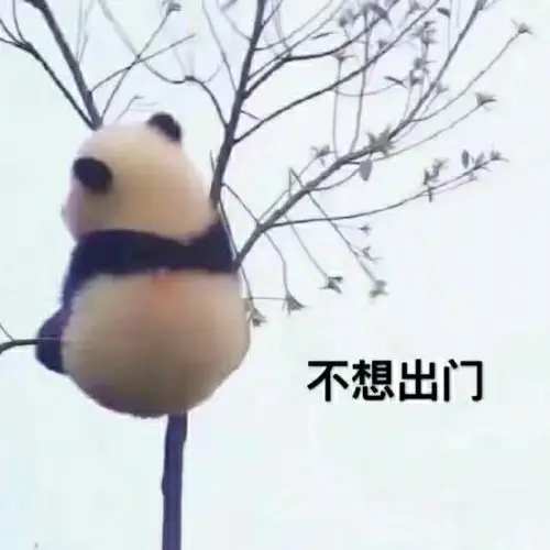 250-表情集市-话本小说网