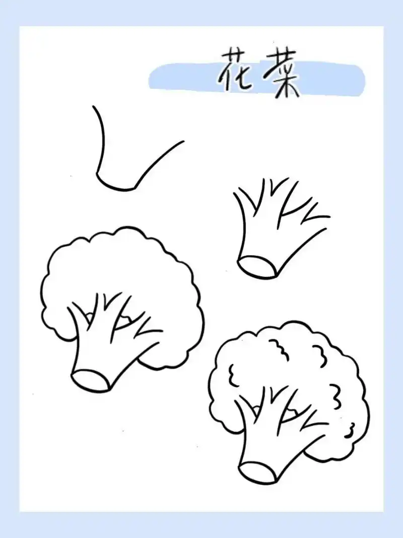 简笔画|花菜34/100 060606