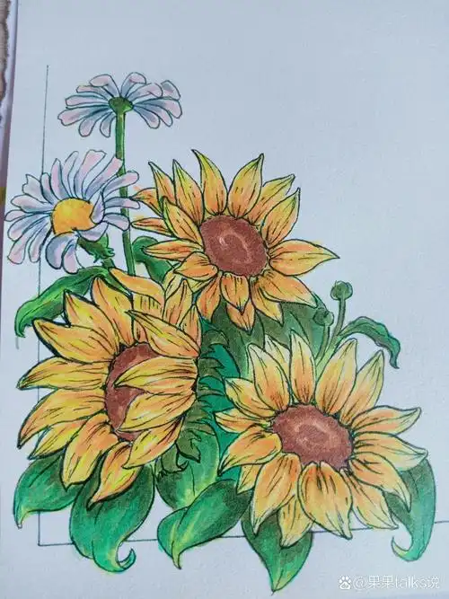 向日葵🌻手绘