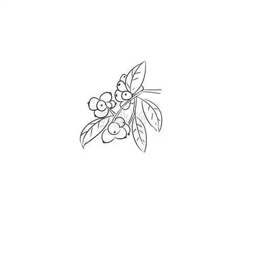 整棵枇杷树简笔画