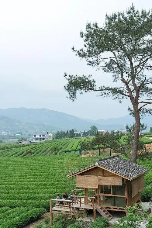 如何打造美丽乡村的景观节点