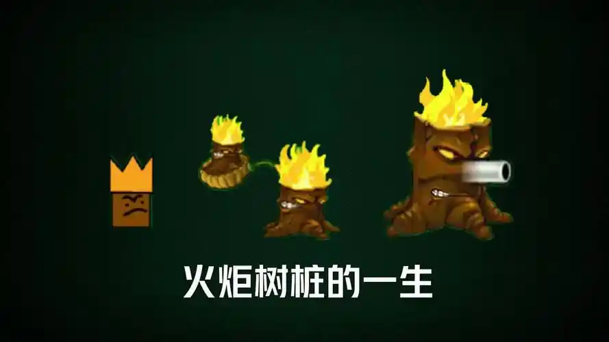 火炬树桩的一生,终成真正的战士!万物皆可植物大战僵尸