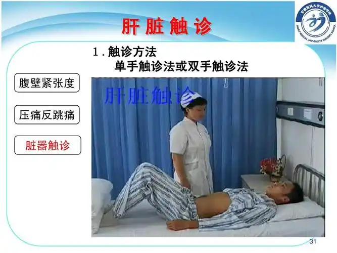 护理健康评估ppt 肝脏触诊 1.