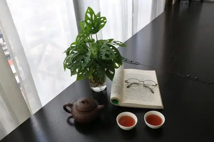 餐具休闲桌子上的盆栽茶壶和书喝茶茶文化茶道图片