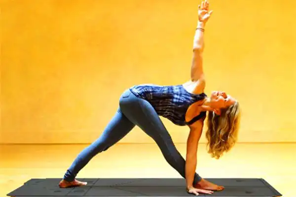 式,该体式是与 a target="_blank" href="/item/三角伸展式/2763347"