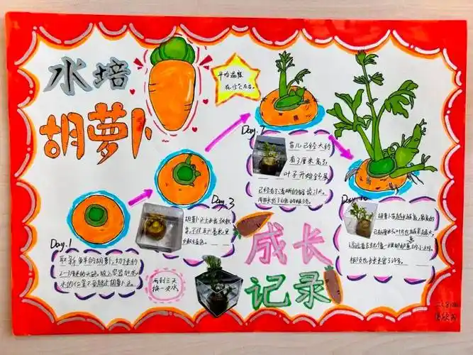 在等待生长的日子里,孩子们学会了耐心和细致,他们懂得了如何正确使用