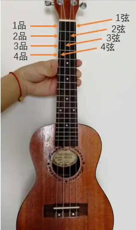 四弦小吉他对应的1234567小吉他尤克里里四线音符1234567怎吗弹