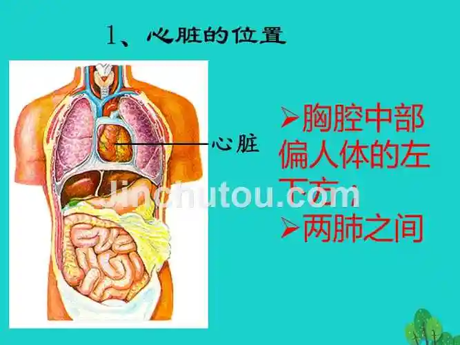 北京市大兴区第三中学七年级生物下册第五章第二节