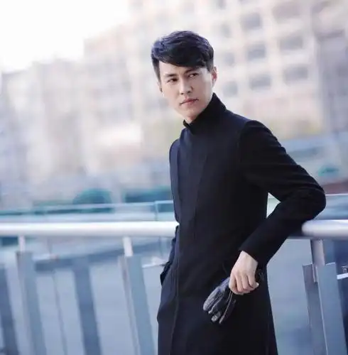 贺涵只应天上有,人间男神是靳东