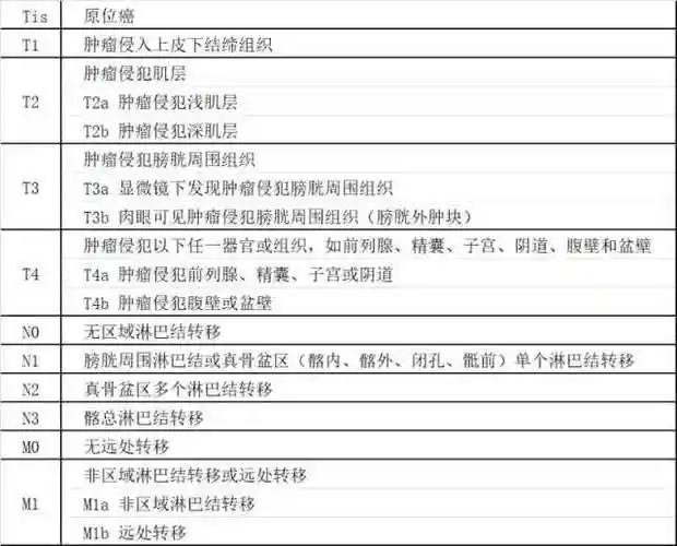 划重点:泌尿系肿瘤的第八版 tnm 分期