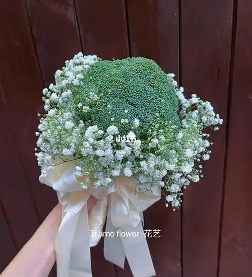 西兰花06手捧花