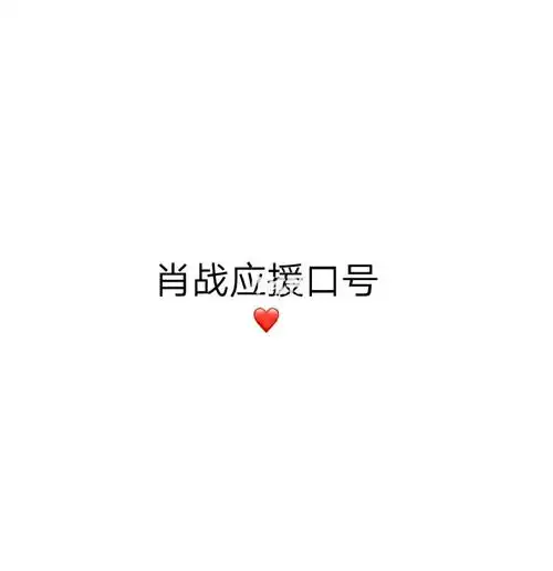 肖战应援口号关注点赞❤