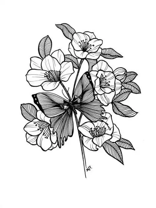 黑白灰的花线条简笔画