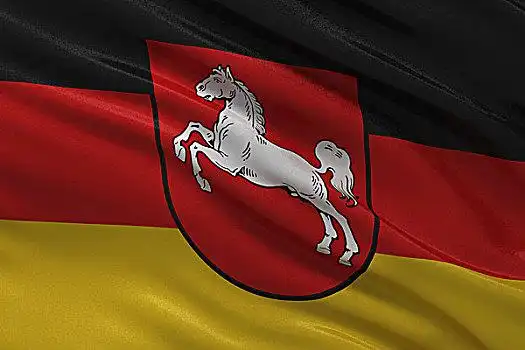 旗帜,萨克森