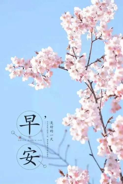 早安心语周五吉祥