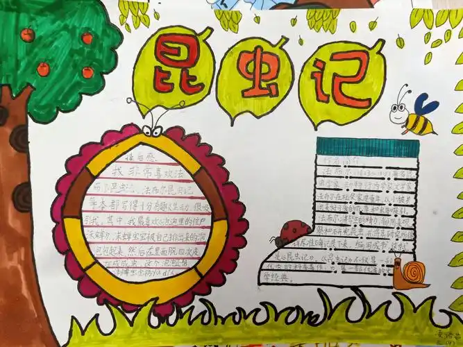 优秀好书推荐卡展示